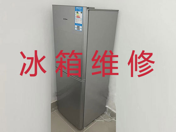 定安专业电冰箱安装